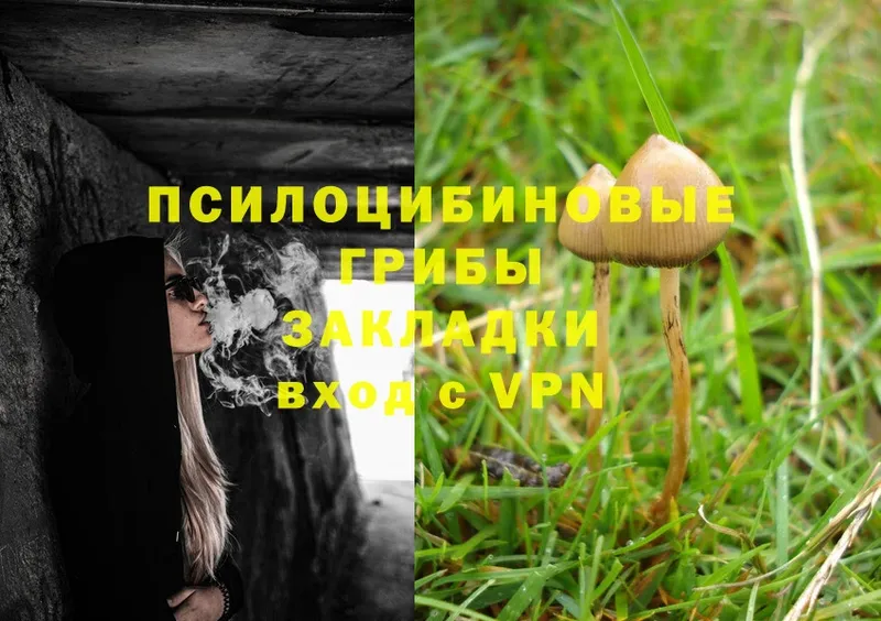 мега ТОР  Алушта  Галлюциногенные грибы MAGIC MUSHROOMS 